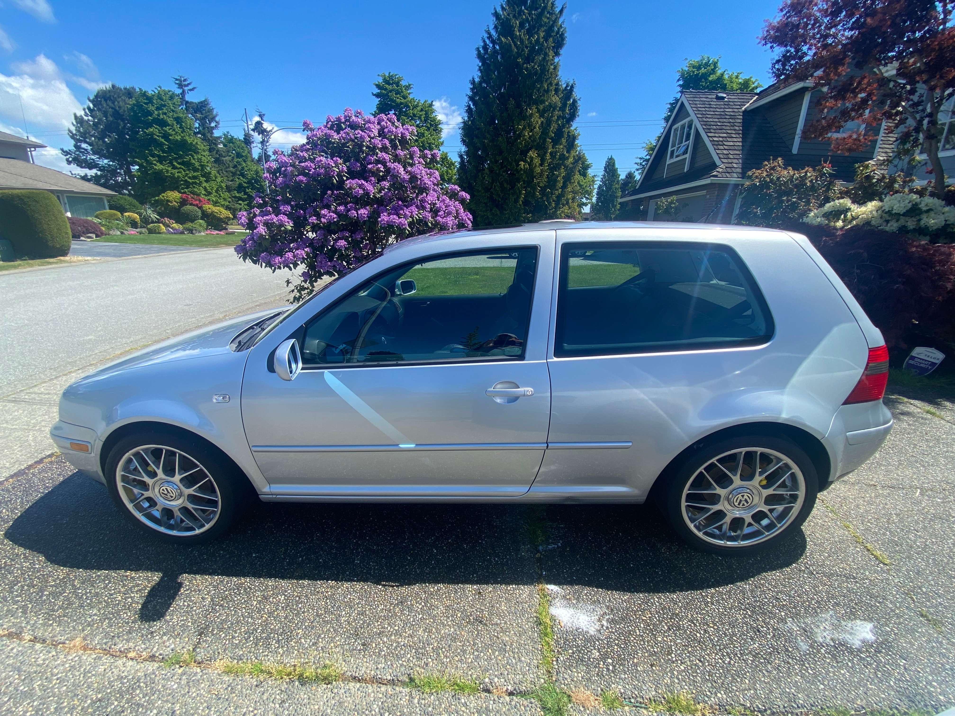 2001 Volkswagen Golf GTI GTI alt 2