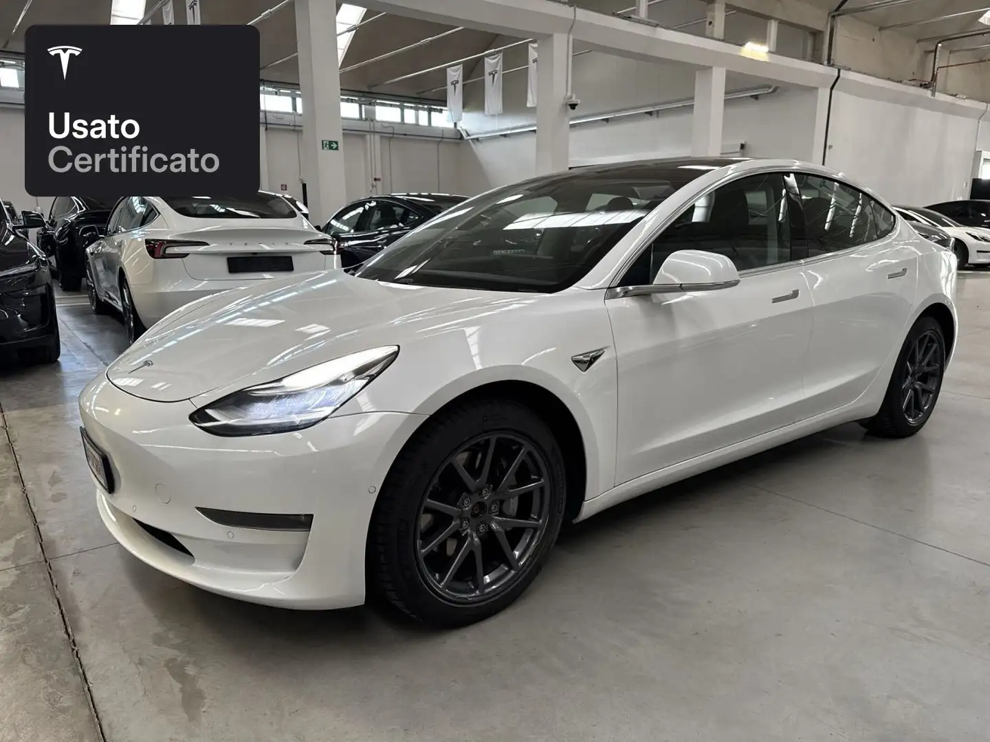 Tesla Model 3 Long Range AWD Bianco - 1