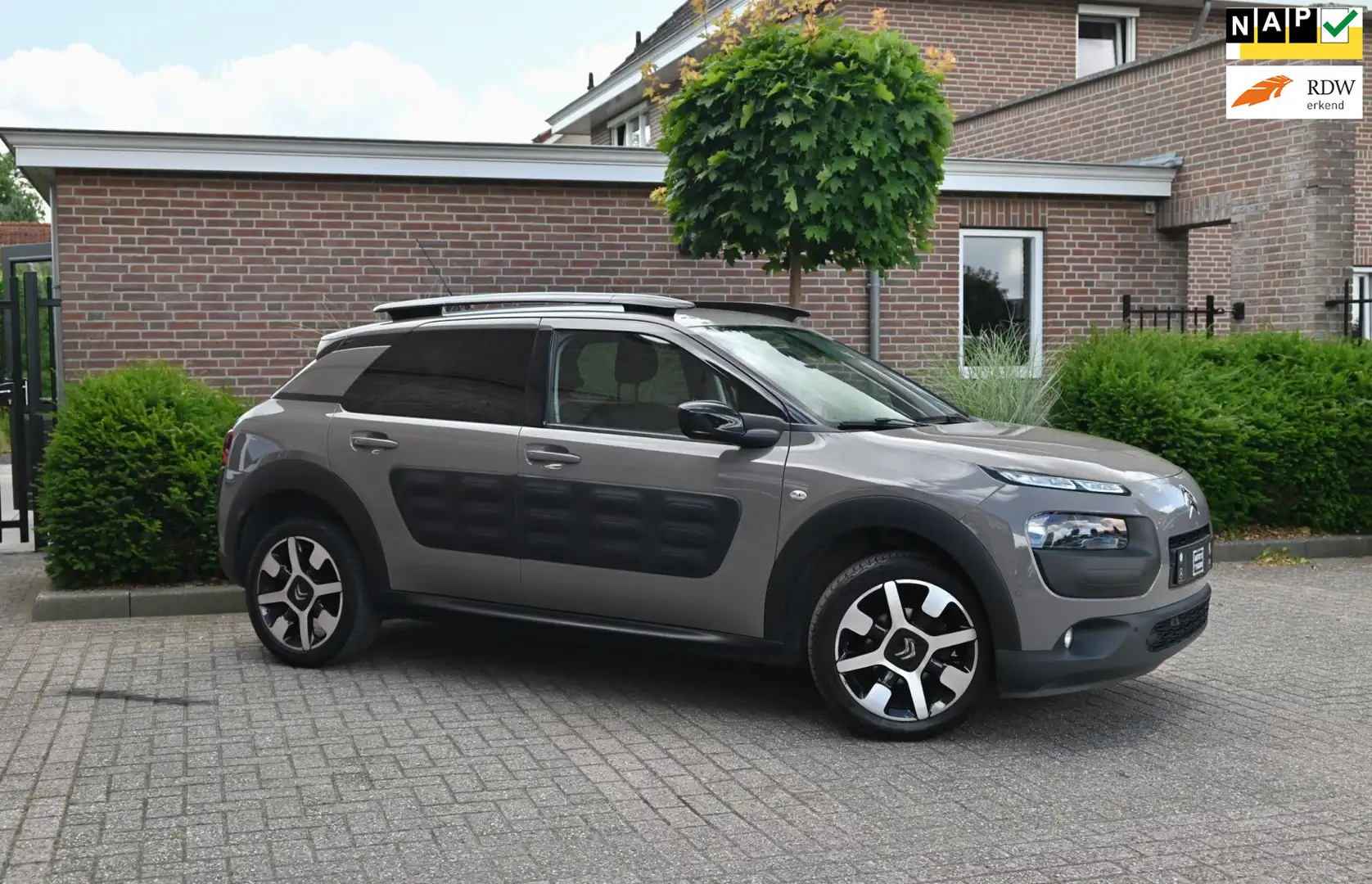 Citroen C4 Cactus 1.2 PureTech Shine Half/Leer Camera Clima Stoelver Brun - 1