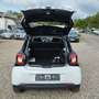 smart forFour electric drive Batterie.Automatik.Klima. Blanc - thumbnail 6