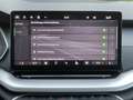 Skoda Octavia 1.5 TSI Selection ACC EHK Kessy Navi Kam Grau - thumbnail 27