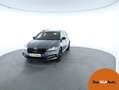 Skoda Superb 4x4 Sportline TDI DSG Grau - thumbnail 1