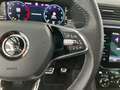Skoda Superb 4x4 Sportline TDI DSG Grau - thumbnail 15