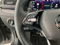 Skoda Superb 4x4 Sportline TDI DSG Grau - thumbnail 14