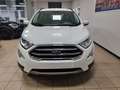 Ford EcoSport 1.0 EcoBoost 125 CV Start&Stop Titanium Bianco - thumbnail 2