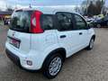 Fiat Panda 1.0 GSE 51kW Mild-Hybrid *City Paket* Blanc - thumbnail 3