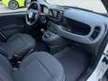 Fiat Panda 1.0 GSE 51kW Mild-Hybrid *City Paket* Blanc - thumbnail 9