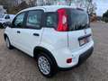 Fiat Panda 1.0 GSE 51kW Mild-Hybrid *City Paket* Blanc - thumbnail 4