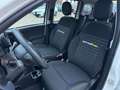 Fiat Panda 1.0 GSE 51kW Mild-Hybrid *City Paket* Blanc - thumbnail 7