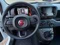 Fiat Panda 1.0 GSE 51kW Mild-Hybrid *City Paket* Blanc - thumbnail 5
