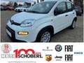 Fiat Panda 1.0 GSE 51kW Mild-Hybrid *City Paket* Blanc - thumbnail 1