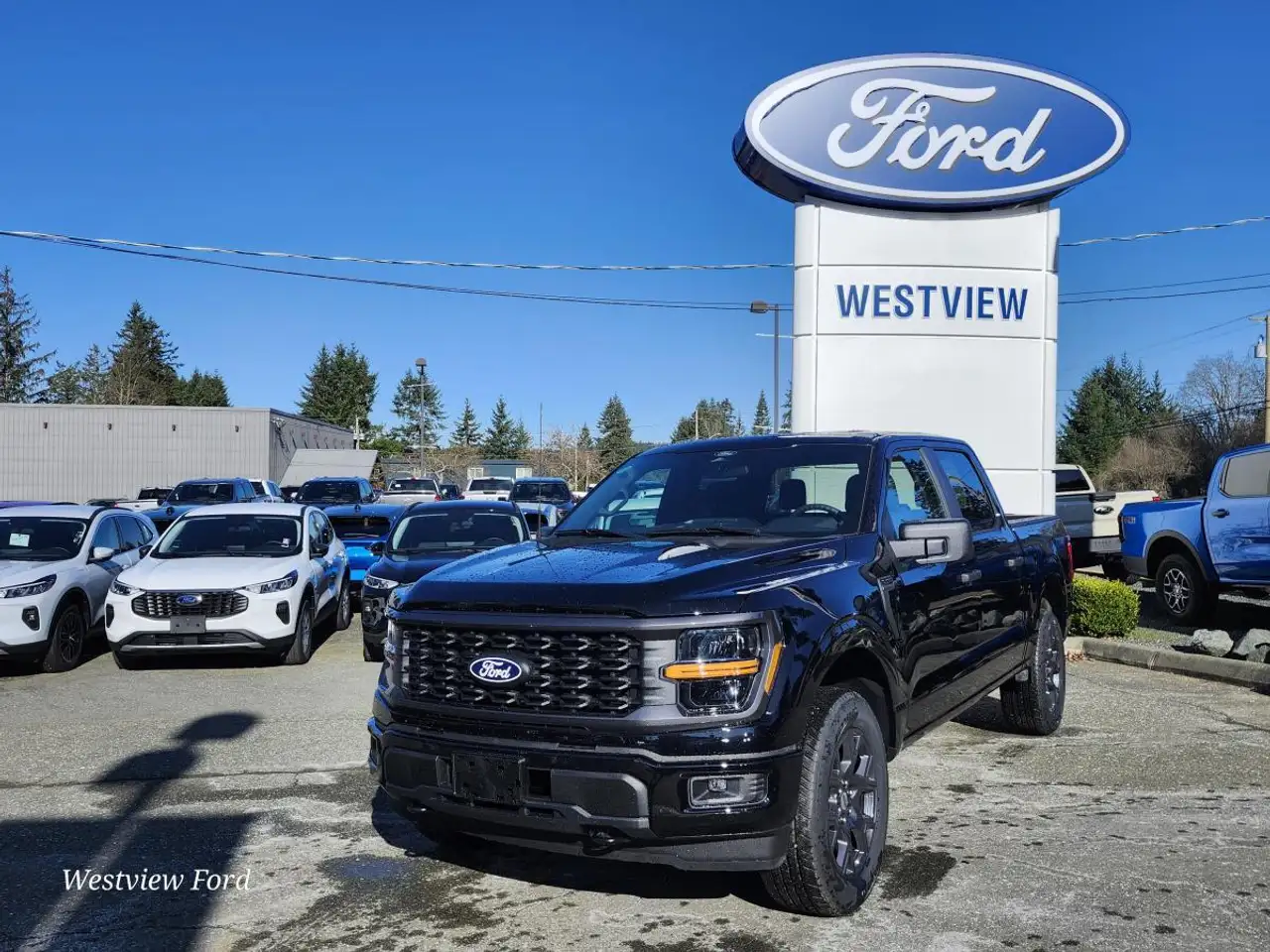 2026 Ford F 150