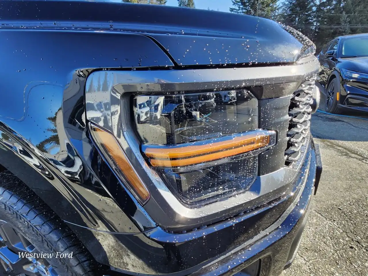 Ford F 150 снимка Ford F 150