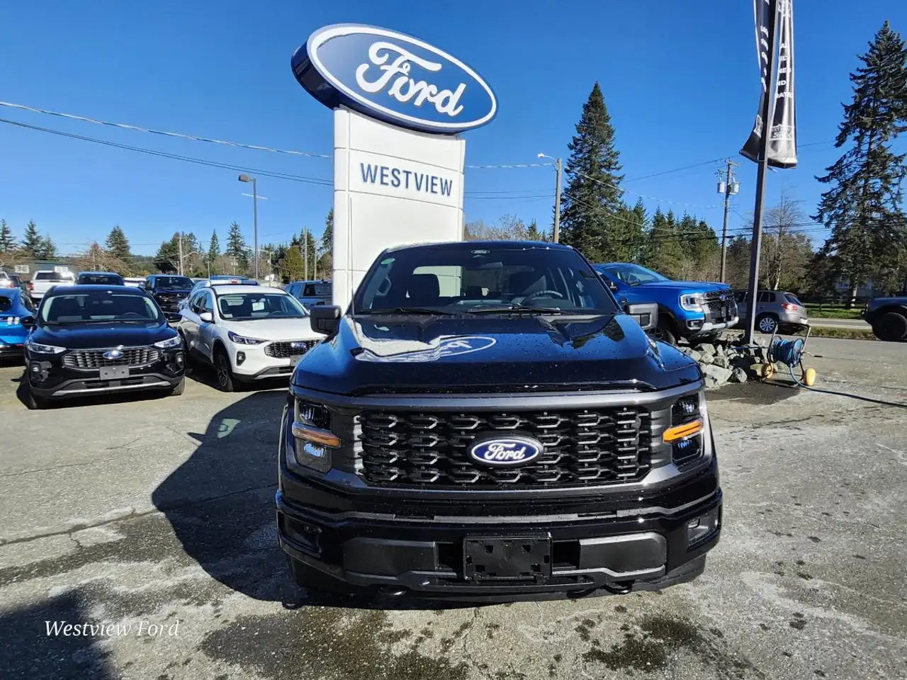 Ford F 150 снимка Ford F 150