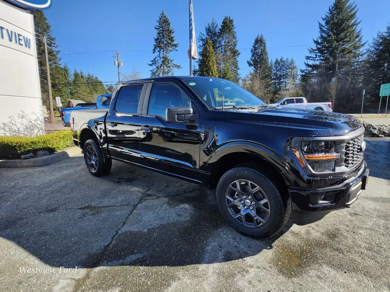 Ford F 150 снимка Ford F 150
