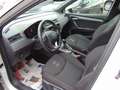 SEAT Arona 1.0 TSI 85kW FR DSG Blanc - thumbnail 4