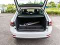 Skoda Superb Combi Style 2.0TDI DSG LED Navi Stdhz AHK Blanc - thumbnail 8