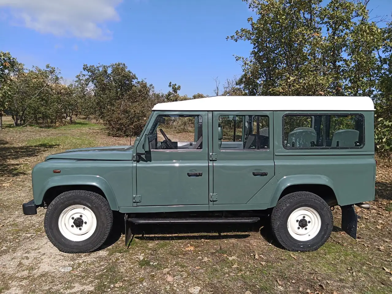 Land Rover Defender 110TDI SW Panoramic Glass Roof, foto 6