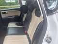 SEAT Leon Leon 1.6 TDI Eco. Style Wit - thumbnail 4