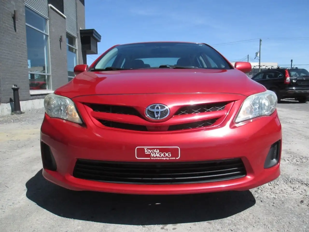 Toyota Corolla fotografie Toyota Corolla