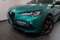 Alfa Romeo Stelvio Tributo Italiano 2,0 16V 280 AT8 Q4 Grün - thumbnail 2
