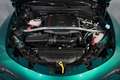Alfa Romeo Stelvio Tributo Italiano 2,0 16V 280 AT8 Q4 Grün - thumbnail 23