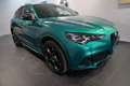 Alfa Romeo Stelvio Tributo Italiano 2,0 16V 280 AT8 Q4 Grün - thumbnail 6