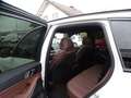 BMW X5 xDrive 30 d M Sport Panoramadach, AHK, Leder, Weiß - thumbnail 13