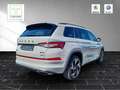Skoda Kodiaq RS 4x4 2,0 TSI DSG Navi ACC AHK Kamera Grau - thumbnail 6