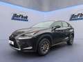 Lexus NX 300 h Amazing Edition*LED*SHZ*PDC* Schwarz - thumbnail 3