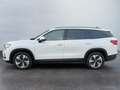 Skoda Kodiaq Selection 2.0 TSI 4x4 Anhängerkupplung ACC 3ZKl... Weiß - thumbnail 33