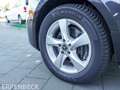 Mercedes-Benz V 300 V 300 d EDITION Lang Night Distr LED AHK Sthzg Grau - thumbnail 10