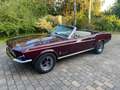 Ford Mustang Cabrio, 390ci V8 Big-Block, S-Code, Rarität! Rot - thumbnail 1