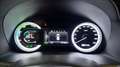 Kia Niro 1.6 gdi hev Style dct Alb - thumbnail 15