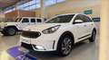 Kia Niro 1.6 gdi hev Style dct Alb - thumbnail 3