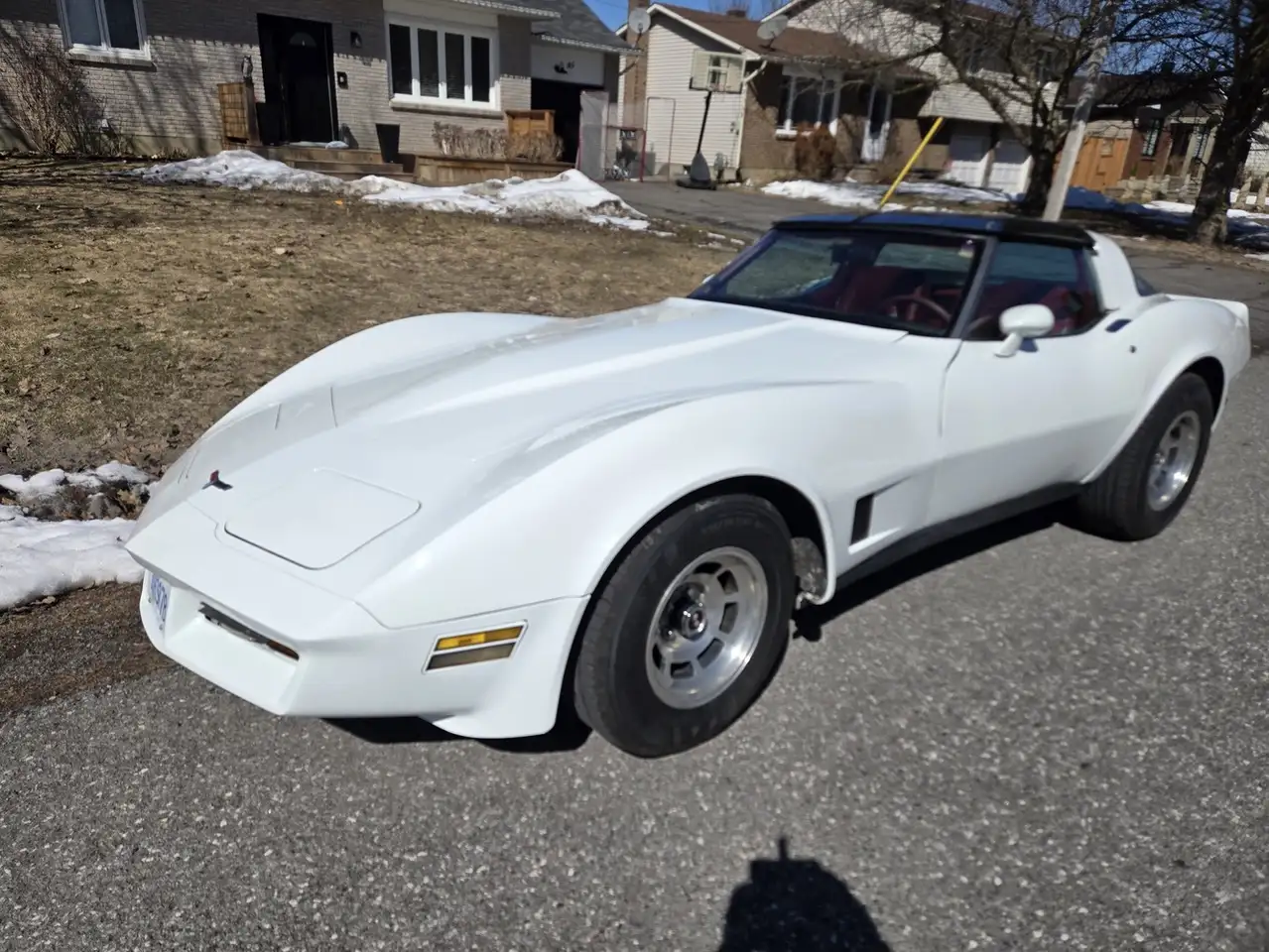 1979 Chevrolet Corvette