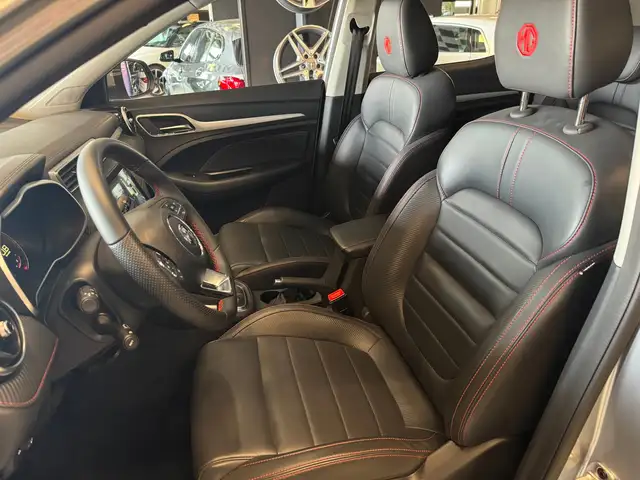 MG ZS view 19