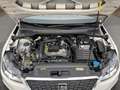 SEAT Arona 1.0 TSI Style NAVI*ACC*SHZ Klima Navi Wit - thumbnail 9