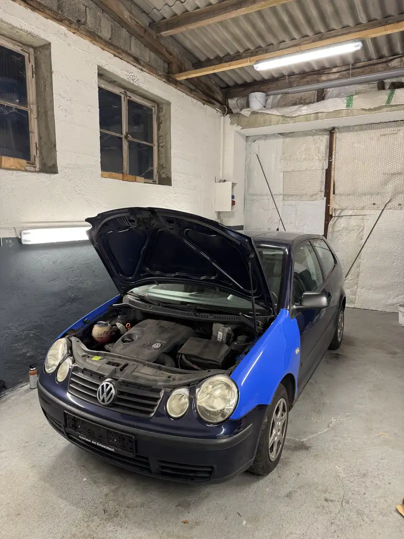 Volkswagen Polo Basis Blau - 2