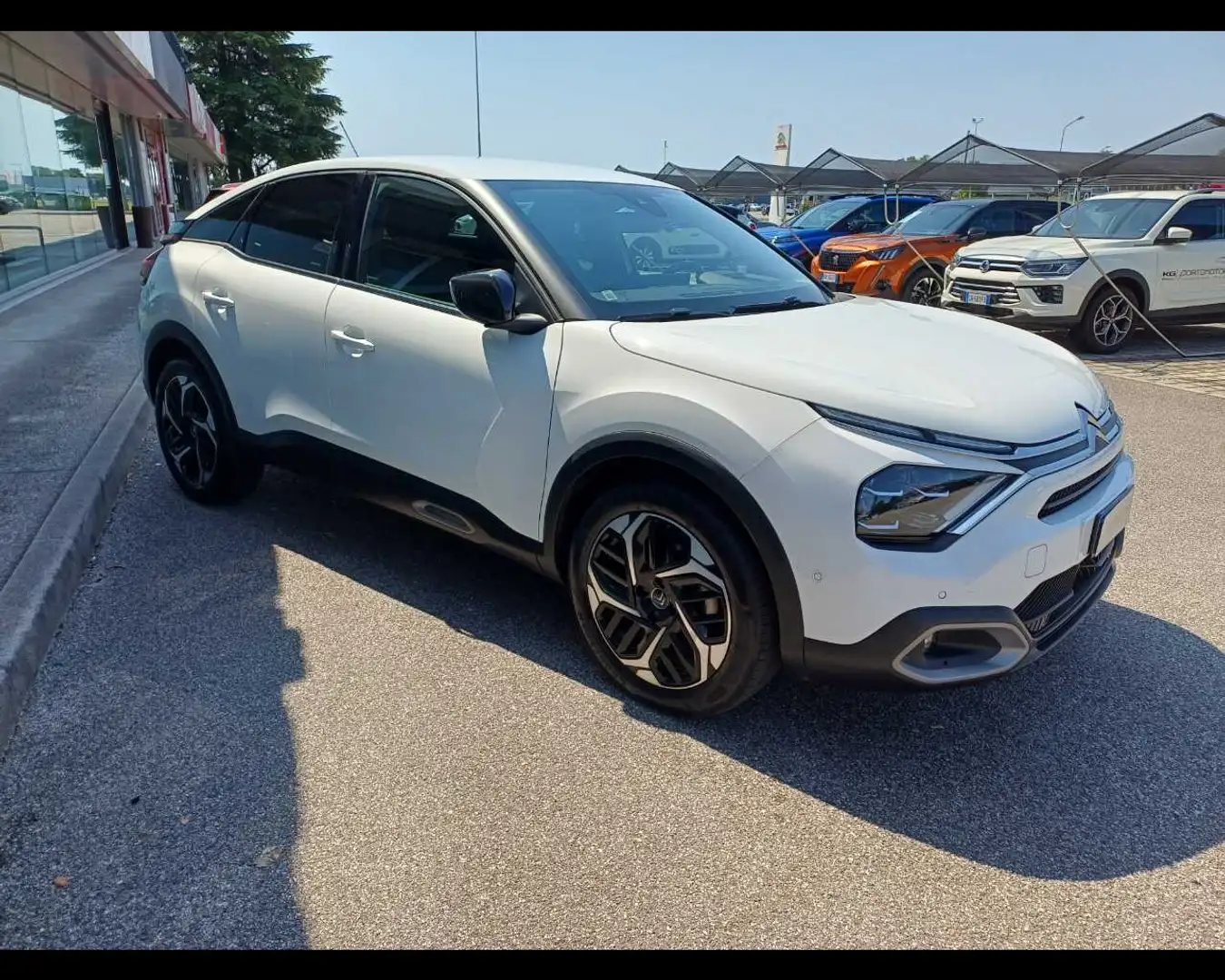 Citroen C4 PureTech 130 S&S EAT8 Shine Bianco - 2