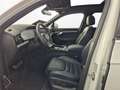 Volkswagen Touareg 4.0 TDI R-Line 4Motion AHK Pano StHz Weiß - thumbnail 4