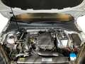 Volkswagen Golf Golf 1.0 TSI 110 CV DSG 5p. Business BlueMotion T Bianco - thumbnail 10