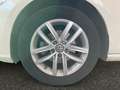 Volkswagen Golf Golf 1.0 TSI 110 CV DSG 5p. Business BlueMotion T Bianco - thumbnail 12