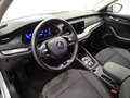 Skoda Octavia 2.0TDI Ambition DSG 85kW Gris - thumbnail 12