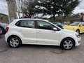 Volkswagen Polo 5p 1.2 tdi Comfortline - thumbnail 4