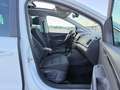 SEAT Alhambra 2.0 TDI DSG*PANO*7-SITZ*STANDHZ*AHK*XNN Weiß - thumbnail 14