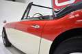 Austin-Healey 3000 MKIII BJ8 PHASE 2 Rouge - thumbnail 15