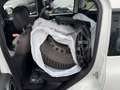 Fiat Panda City Cross Plus/AHK/Jahreswagenzustand Weiß - thumbnail 6