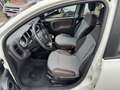 Fiat Panda City Cross Plus/AHK/Jahreswagenzustand Weiß - thumbnail 5