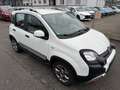 Fiat Panda City Cross Plus/AHK/Jahreswagenzustand Weiß - thumbnail 2